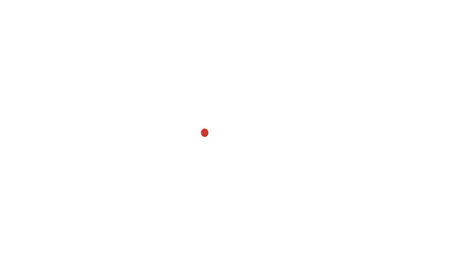 Vecta Compute
